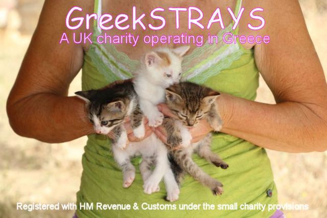 GreekSTRAYS - A UK charity operating in Greece