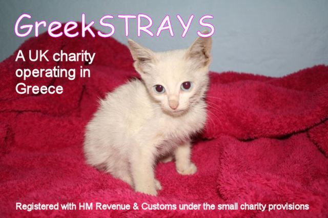 GreekSTRAYS - A UK charity operating in Greece