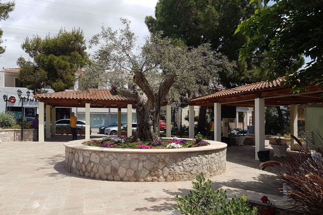 Kranidi - Old fountain replaced with olive tree